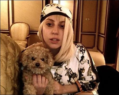 Lady Gaga with her pet dog
