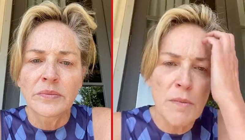 Sharon Stone Makeup-Free Face