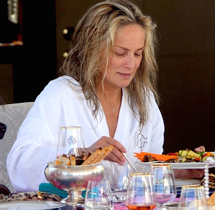 Sharon Stone Without Makeup Pics